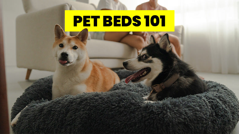 How Often Should You Replace Your Dog's Bed? - Expert Guidelines for Canada Pet Owners