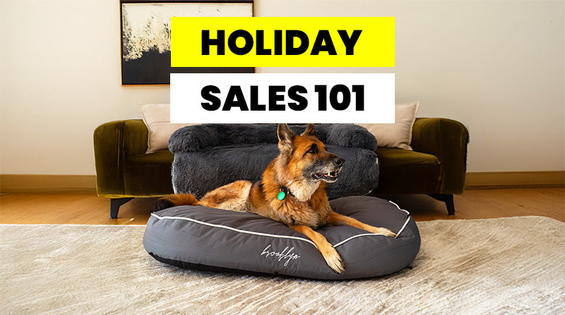 Your Ultimate Guide to Buying Dog Pet Beds During Holiday Sales