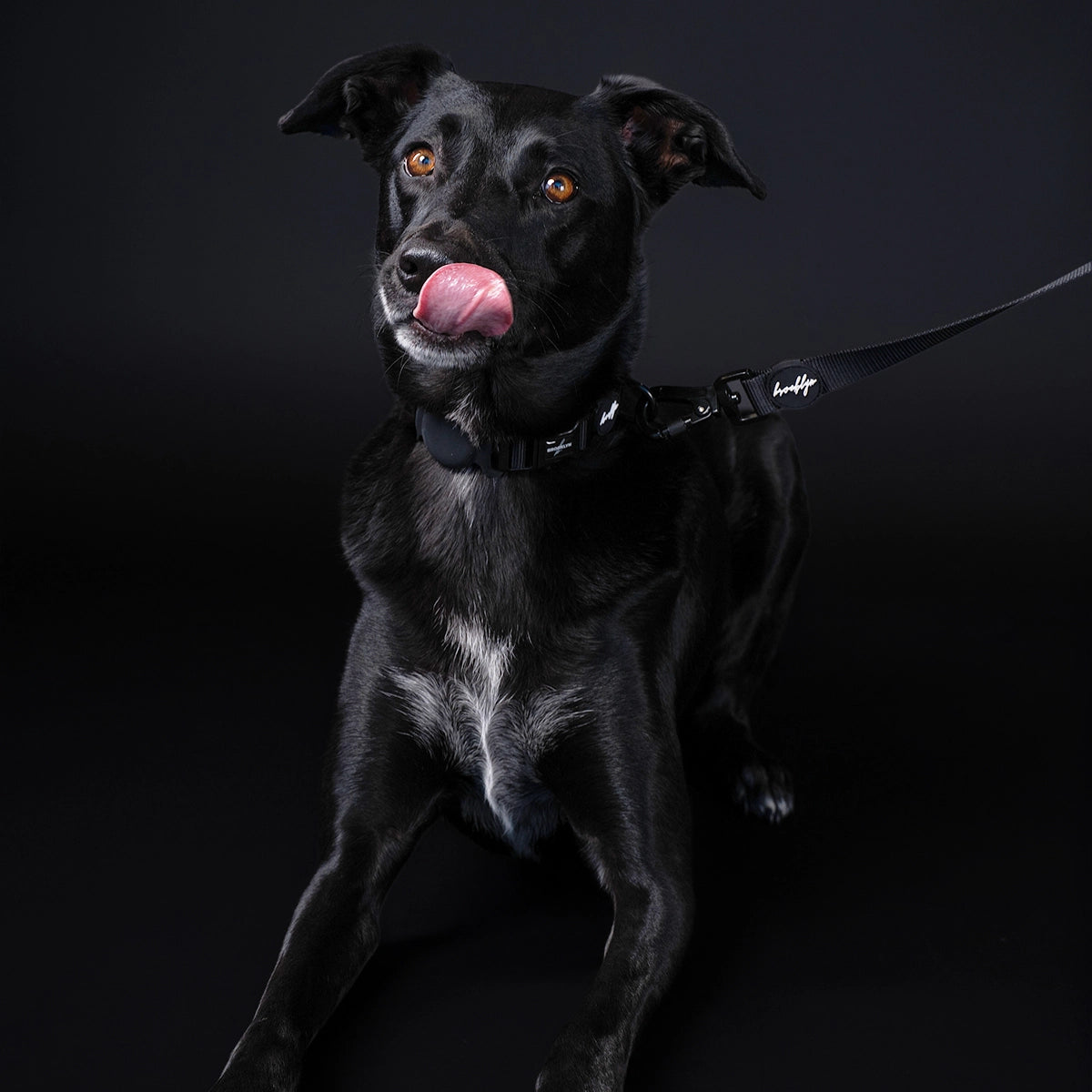 Brooklyn® Walk Set Bundle