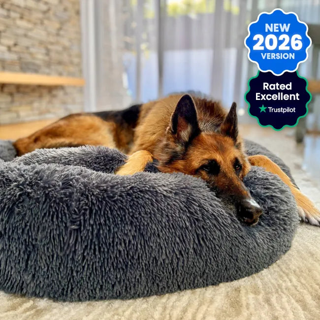 2x Calming Dog Beds + 2x Covers (Save 20%)