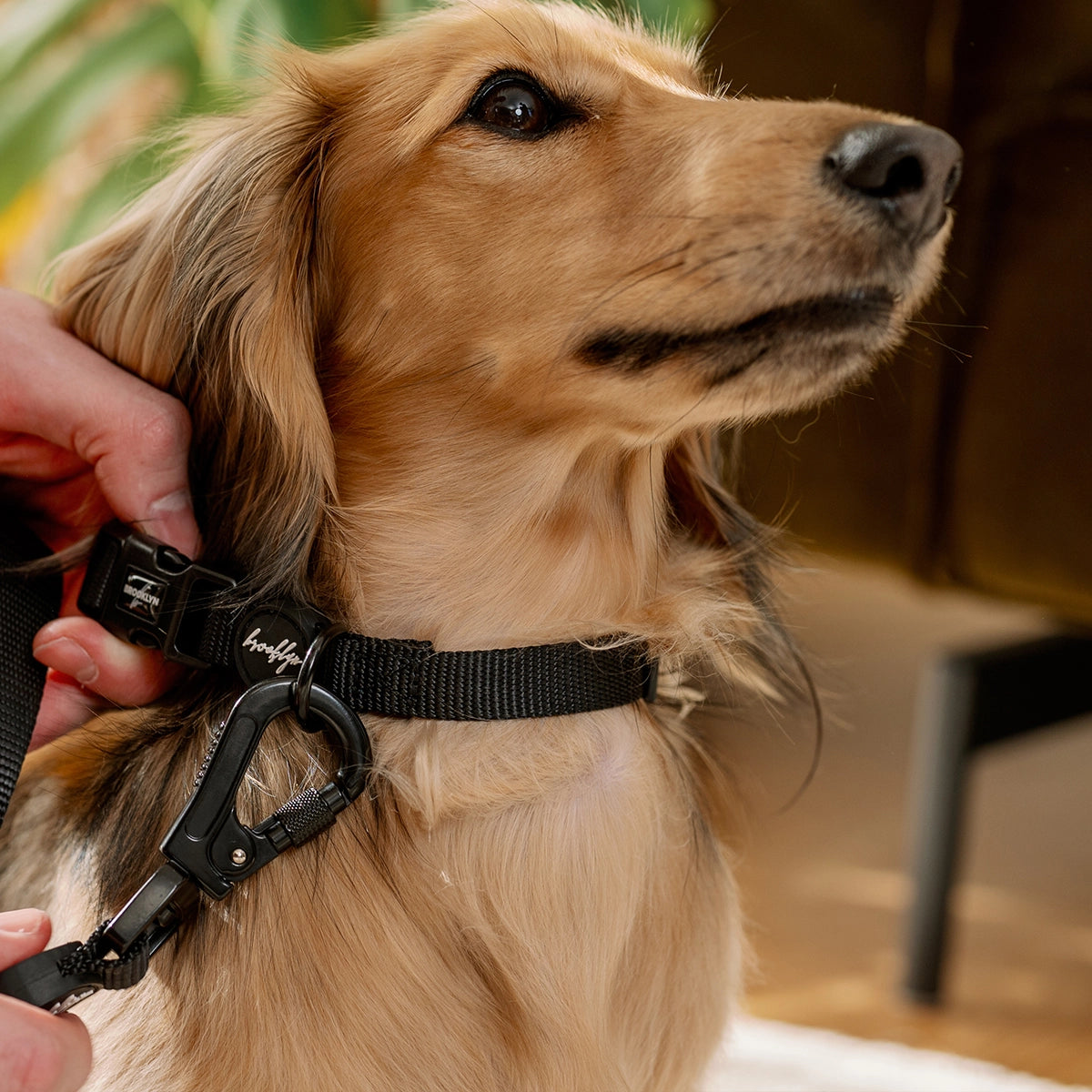 Brooklyn® Walk Set Bundle