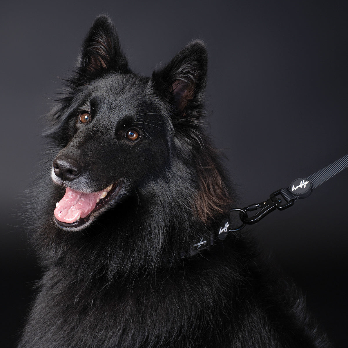 Brooklyn® Walk Set Bundle