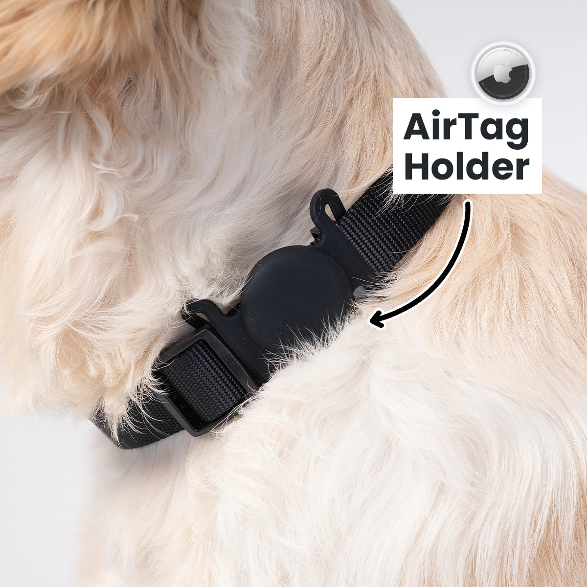 Brooklyn® Walk Set Bundle