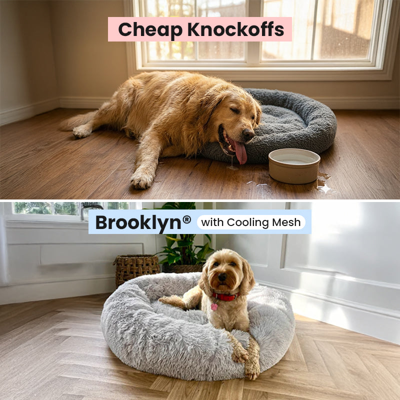 Ultimate Dog Starter Bundle Pack