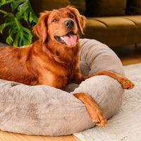 Signature Cover for Brooklyn® Deep Sleep