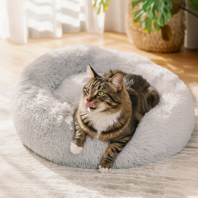 Brooklyn® Deep Sleep Cat Bed | Free & Fast Shipping – The Brooklyn