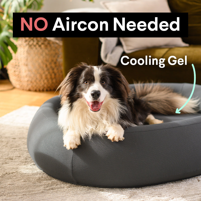Brooklyn® Nest Dog Bed