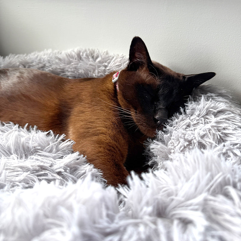 Brooklyn® Deep Sleep Cat Bed
