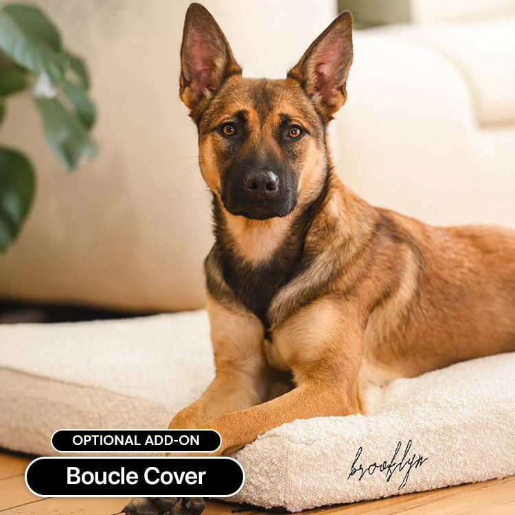 Brooklyn® Ultra Memory Foam Bed