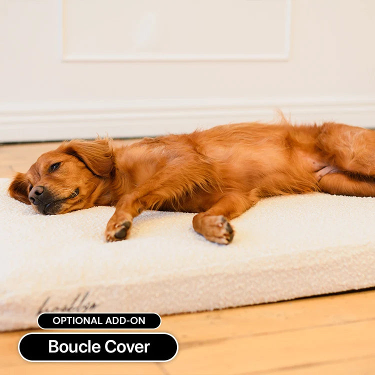Brooklyn® Ultra Memory Foam Bed