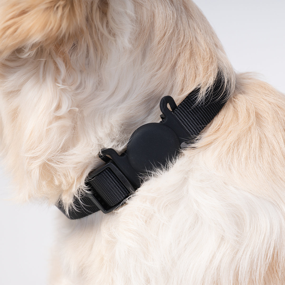 Brooklyn® AirTag Holder for Collars