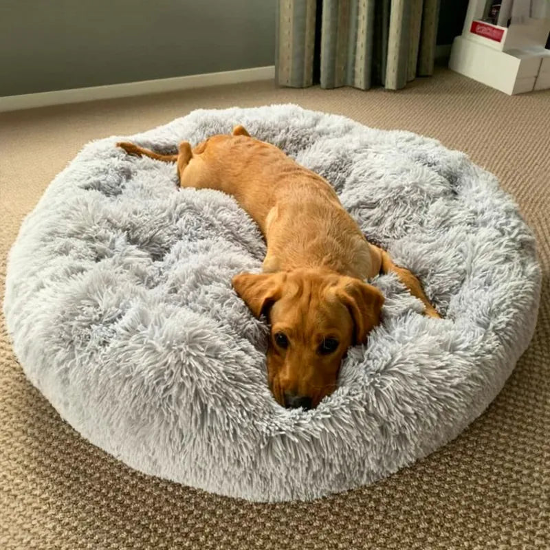 2x Calming Dog Beds + 2x Covers (Save 20%)