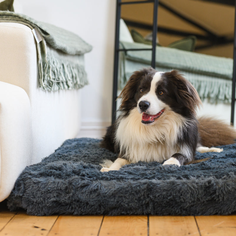 Brooklyn® Memory Foam Bed