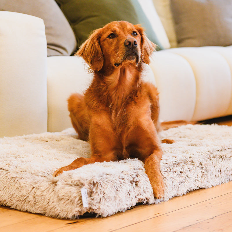 Brooklyn® Memory Foam Bed