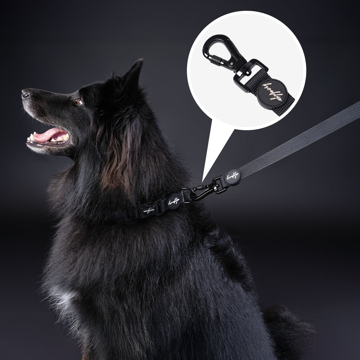 Brooklyn® Walk Set Bundle