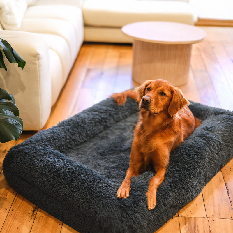 Brooklyn® Memory Foam Bolster Bed