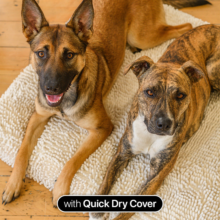 Brooklyn® Memory Foam Bed