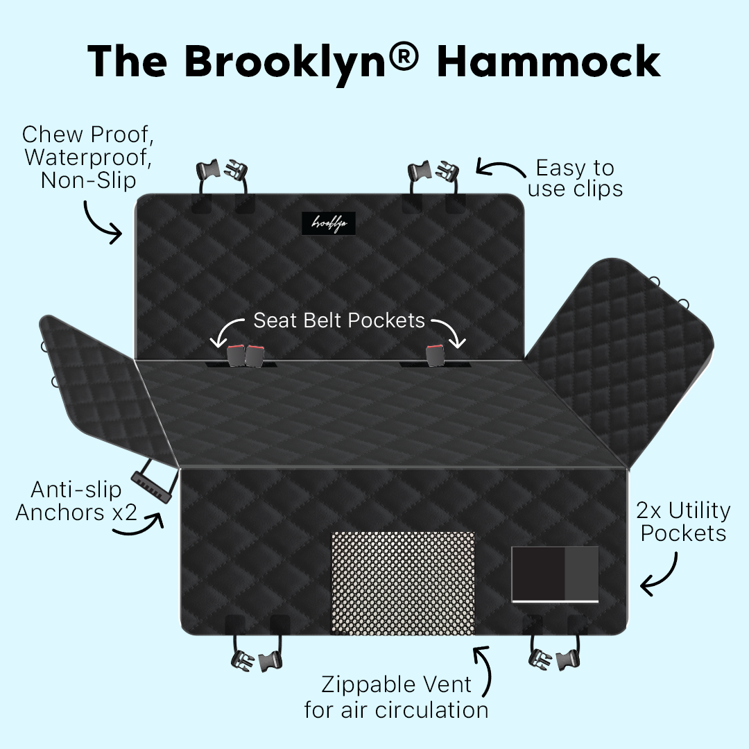 Hammock & Hydrate Bundle